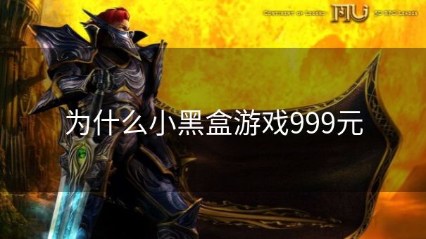 为什么小黑盒游戏999元