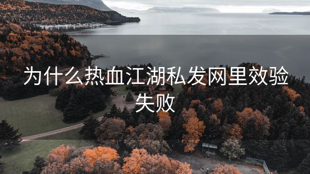 为什么热血江湖私发网里效验失败