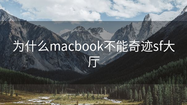 为什么macbook不能奇迹sf大厅