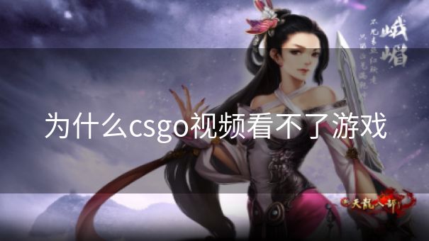 为什么csgo视频看不了游戏