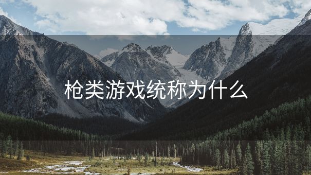 枪类游戏统称为什么