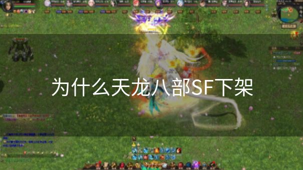 为什么天龙八部SF下架