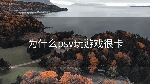 为什么psv玩游戏很卡