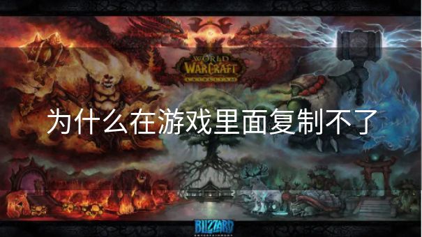 为什么在游戏里面复制不了