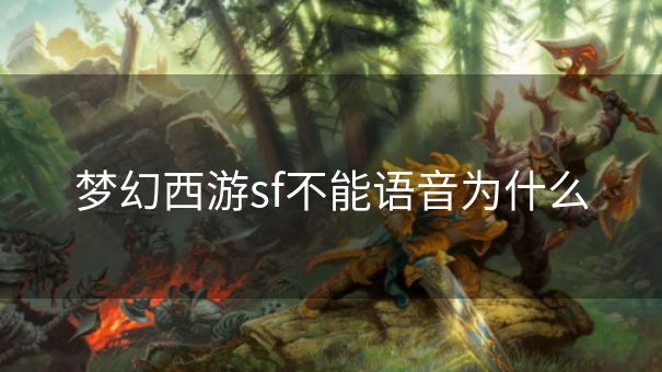 梦幻西游sf不能语音为什么