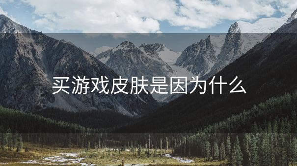 买游戏皮肤是因为什么