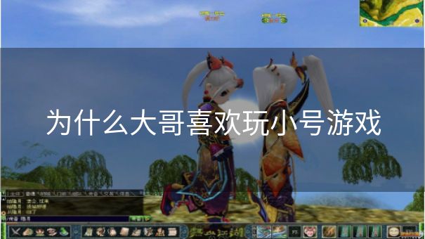 为什么大哥喜欢玩小号游戏