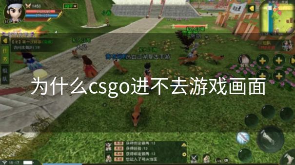 为什么csgo进不去游戏画面