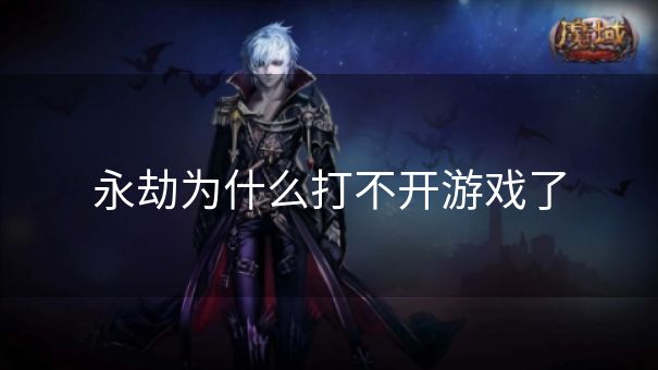 永劫为什么打不开游戏了