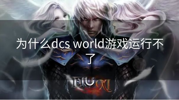 为什么dcs world游戏运行不了