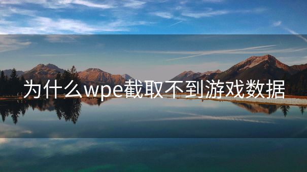 为什么wpe截取不到游戏数据