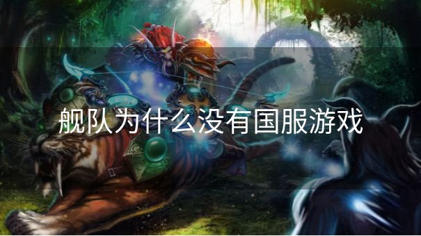 舰队为什么没有国服游戏