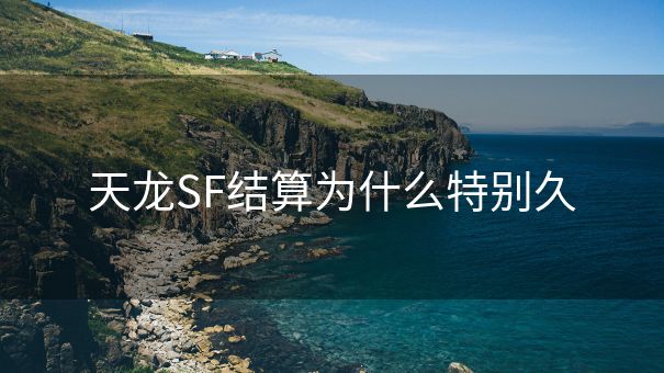 天龙SF结算为什么特别久