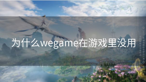 为什么wegame在游戏里没用