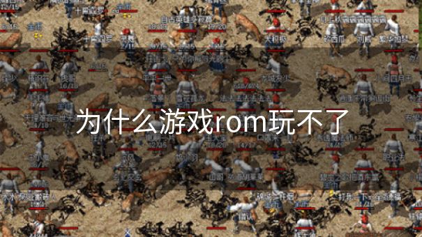 为什么游戏rom玩不了
