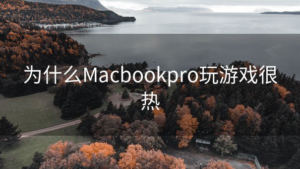 为什么Macbookpro玩游戏很热