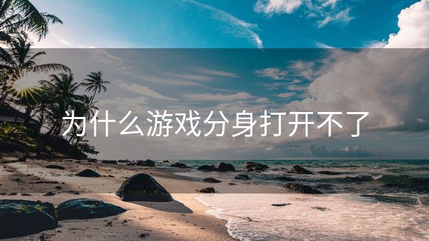 为什么游戏分身打开不了