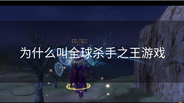 为什么叫全球杀手之王游戏