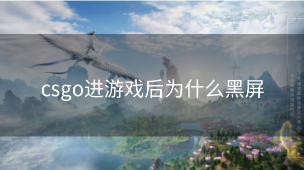 csgo进游戏后为什么黑屏