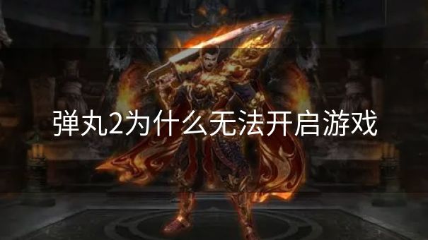 弹丸2为什么无法开启游戏