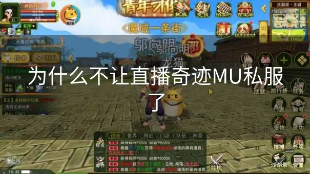 为什么不让直播奇迹MU私服了