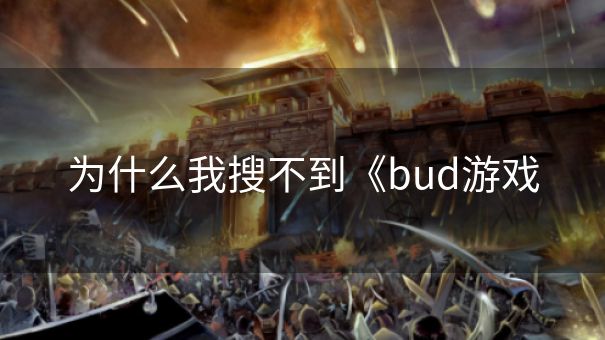 为什么我搜不到《bud游戏