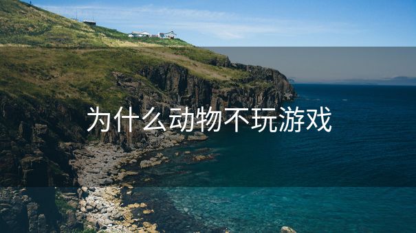 为什么动物不玩游戏