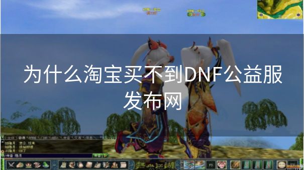 为什么淘宝买不到DNF公益服发布网