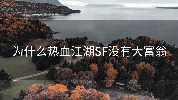 为什么热血江湖SF没有大富翁