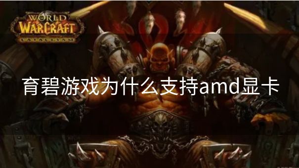 育碧游戏为什么支持amd显卡