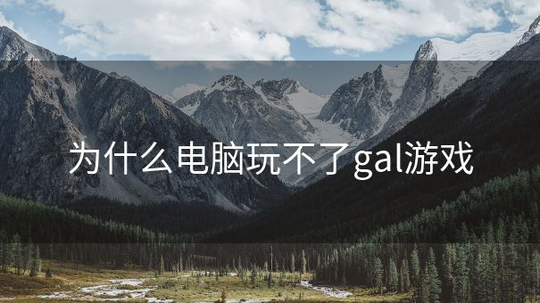 为什么电脑玩不了gal游戏