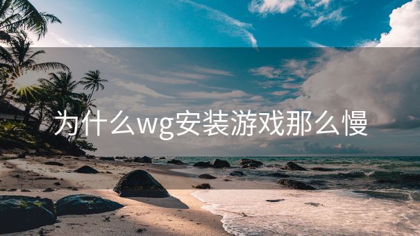 为什么wg安装游戏那么慢