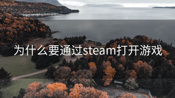 为什么要通过steam打开游戏