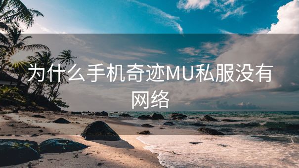 为什么手机奇迹MU私服没有网络