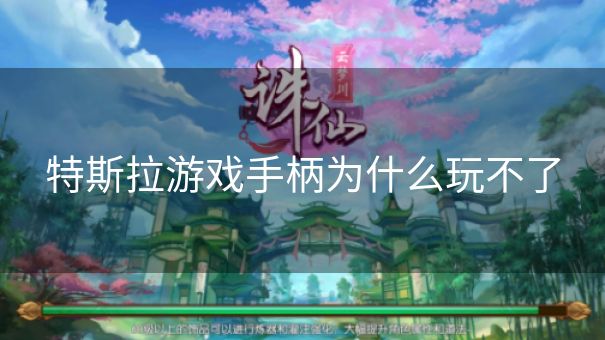 特斯拉游戏手柄为什么玩不了