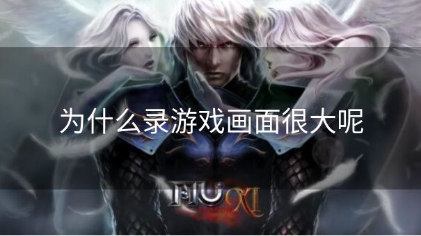 为什么录游戏画面很大呢