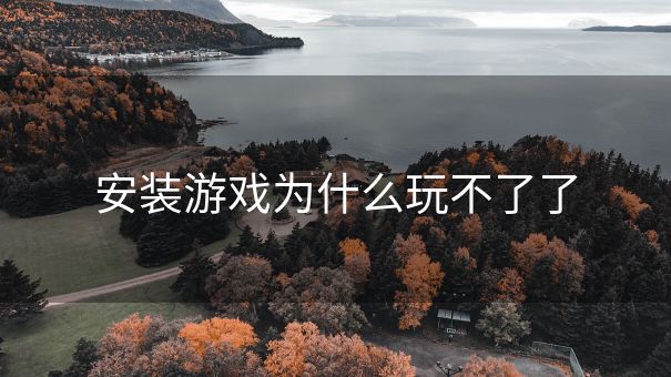 安装游戏为什么玩不了了