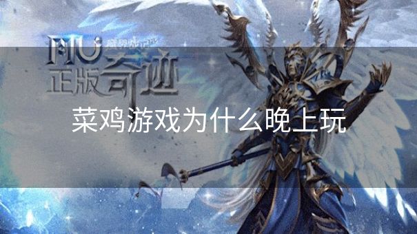 菜鸡游戏为什么晚上玩