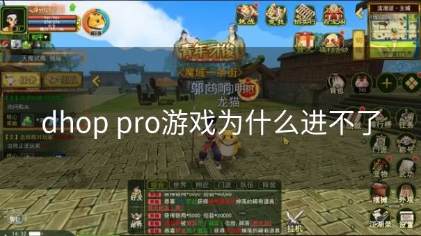 dhop pro游戏为什么进不了