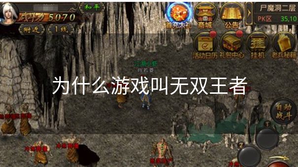 为什么游戏叫无双王者
