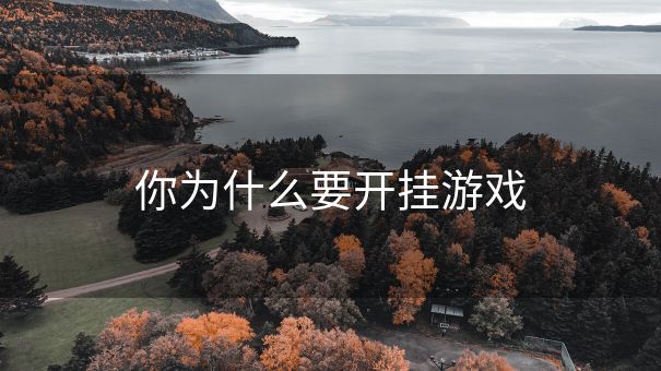 你为什么要开挂游戏