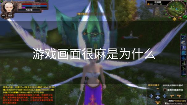 游戏画面很麻是为什么