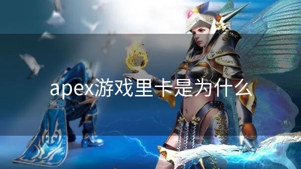 apex游戏里卡是为什么