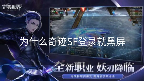 为什么奇迹SF登录就黑屏