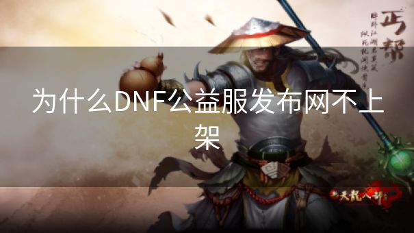 为什么DNF公益服发布网不上架