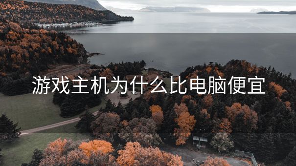 游戏主机为什么比电脑便宜