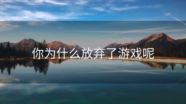 你为什么放弃了游戏呢