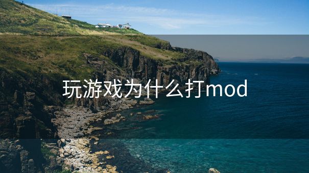 玩游戏为什么打mod