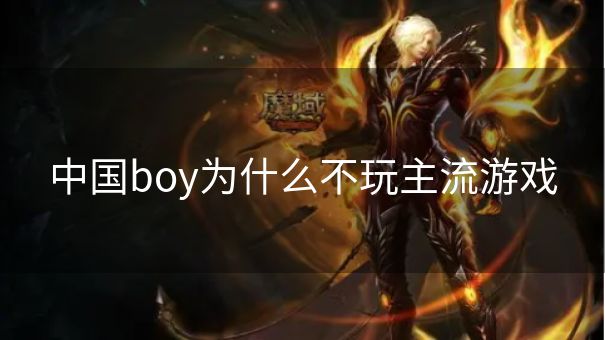 中国boy为什么不玩主流游戏