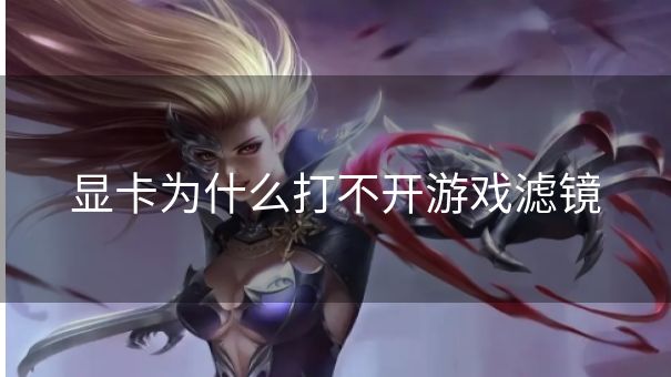 显卡为什么打不开游戏滤镜